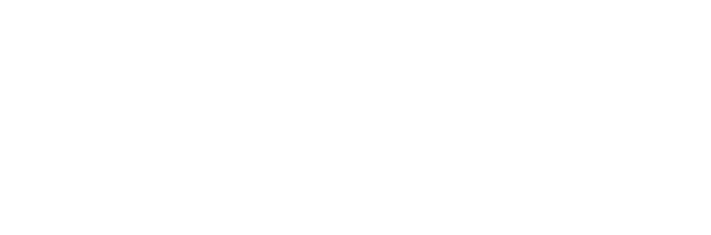 ICQ10A